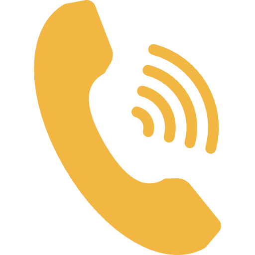 E-Society Call